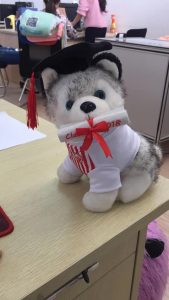 plush cat